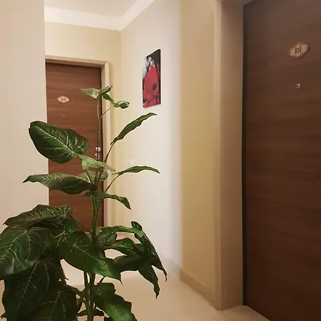 فندق مبيت وإفطار Palazzo Ducale 4*