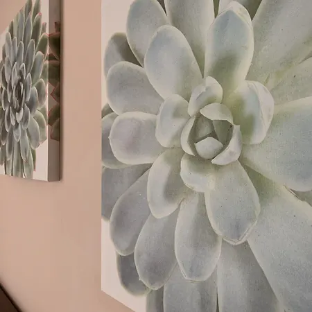 فندق مبيت وإفطار Palazzo Ducale سان سيفيرو