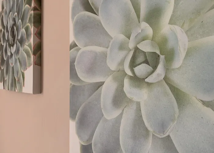 Couette-café Palazzo Ducale San Severo